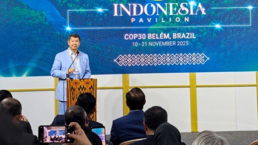 Target Indonesia Emisi Nol Bersih Paling Lambat Tahun 2060
