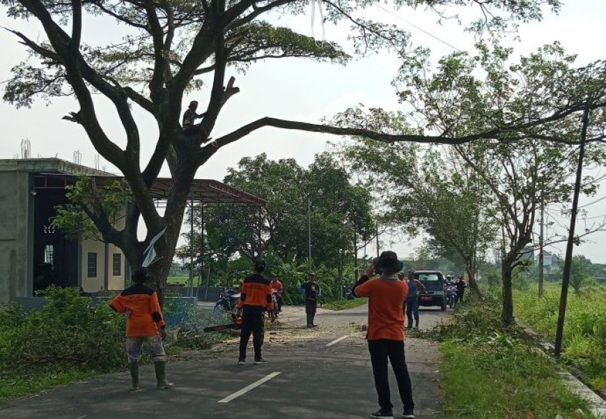 Relawan Tiga Desa di Polanharjo Klaten Gotong-royong Pangkas Pohon