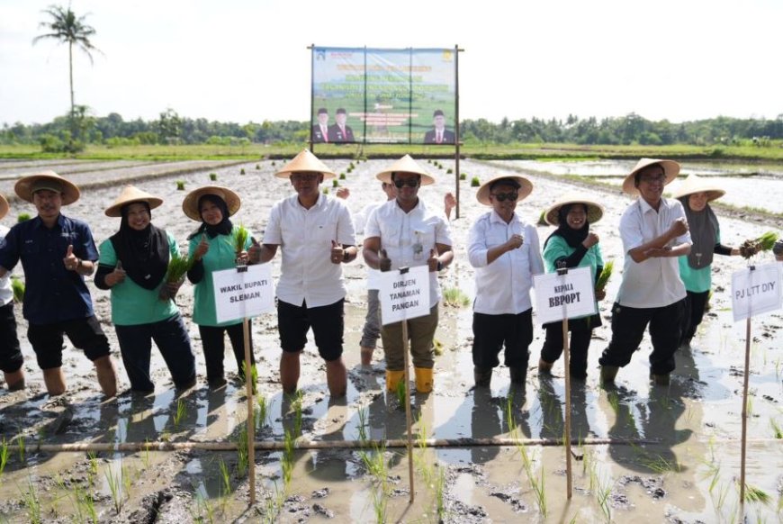 Kabupaten Sleman Jadi Percontohan Kampung Peramalan Organisme Pengganggu Tumbuhan