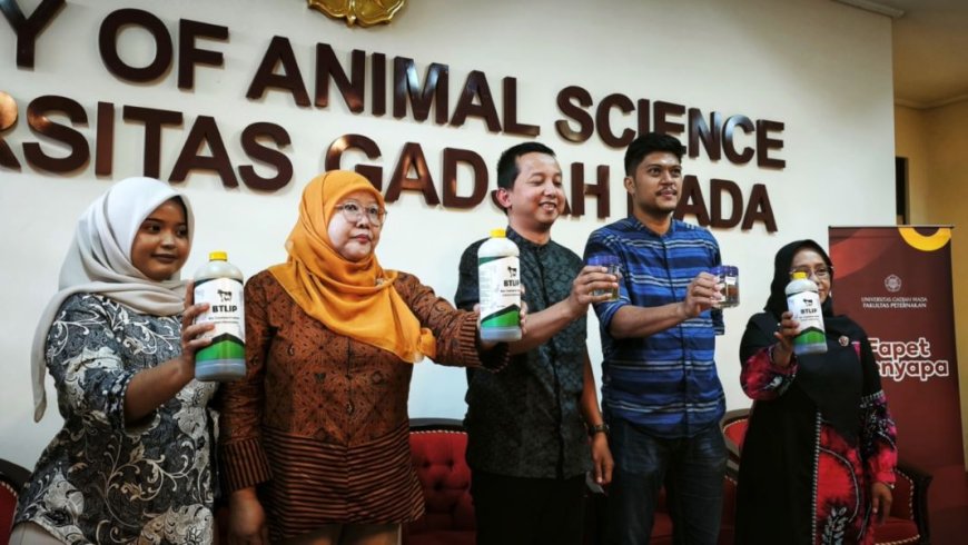 Peneliti Fapet UGM Ubah Limbah Rumen Jadi MOL Probiotik