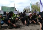 Amartha.org Tanam 5.000 Mangrove di Pantai Baros Bantul