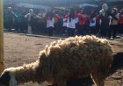 Diinisiasi Kaum Ibu, Senam dan Jalan Sehat di Padukuhan Jati Berhadiah Kambing
