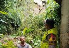 Tebing Longsor di Sempor Kebumen, Dua Rumah Terdampak