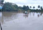 Banjir di Desa Wingko Sanggrahan Purworejo Merendam Sawah Enam Hektar