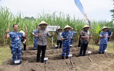 Wakil Bupati Sleman Tanam Tebu di Lahan Produktif Lanud Adisutjipto