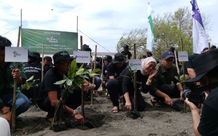 Amartha.org Tanam 5.000 Mangrove di Pantai Baros Bantul