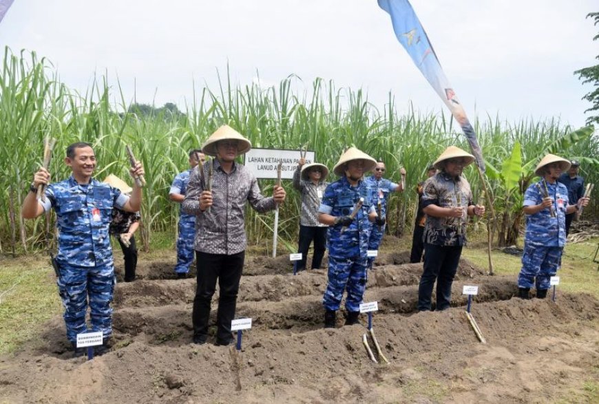 Wakil Bupati Sleman Tanam Tebu di Lahan Produktif Lanud Adisutjipto