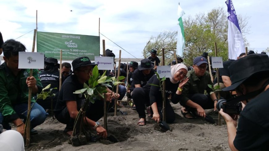Amartha.org Tanam 5.000 Mangrove di Pantai Baros Bantul