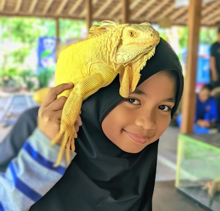 Foto Bersama Reptil, Sensasi Seru Liburan Tahun Baru di Kaliurang Park