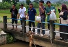 FKMP Tebar Benih Ikan di Saluran Irigasi