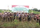 Polres Kebumen Panen Raya Jagung di Tanggulangin