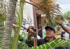 Pemerintah Kota Yogyakarta Bongkar Bangunan Liar Diubah Jadi Taman