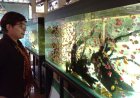 Dikunjungi DPRD DIY, Desa Wisata Dewi Kajii Penghasil Ikan Hias Berkualitas