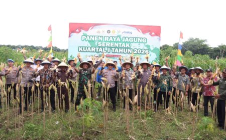 Polres Kebumen Panen Raya Jagung di Tanggulangin