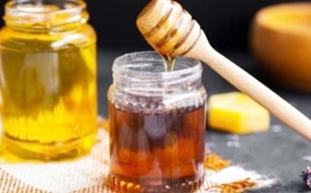 Nutrisi Presisi untuk Pasien Penyakit Berat: Benarkah Madu Herbal Boleh Dikonsumsi Bersama Karbohidrat & Protein?