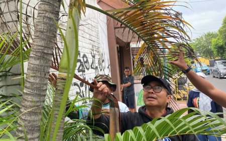 Pemerintah Kota Yogyakarta Bongkar Bangunan Liar Diubah Jadi Taman