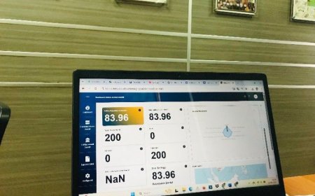 Digitalisasi Layanan Pemerintah Daerah Mutlak Diperlukan