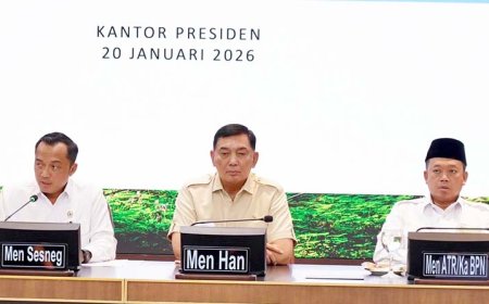 Dari Oknum Nakal, Pemerintah Rebut Kembali 4,09 Juta Hektare Hutan 