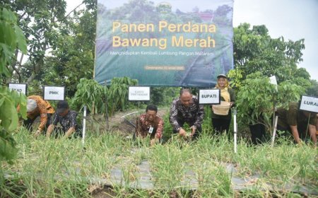 Warga Tiyasan Olah Lahan Kosong Jadi Kebun, Panen Bawang Merah