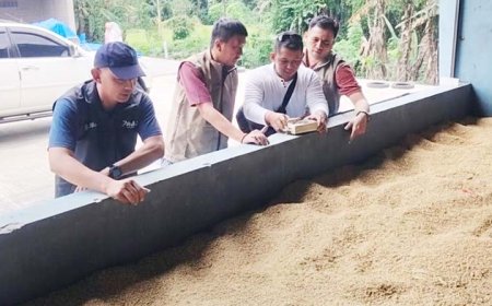 Bulog Targetkan Serapan Gabah Petani Magelang 56738 Ton