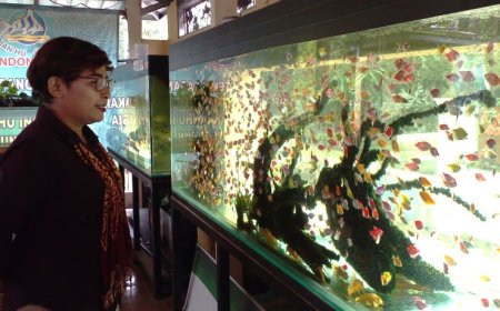 Dikunjungi DPRD DIY, Desa Wisata Dewi Kajii Penghasil Ikan Hias Berkualitas