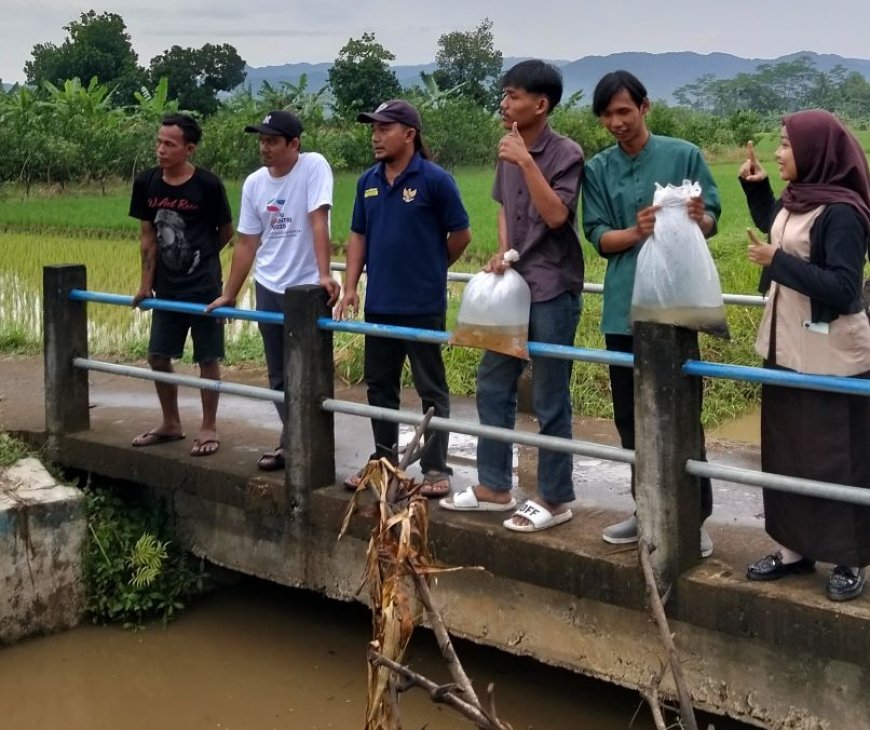FKMP Tebar Benih Ikan di Saluran Irigasi