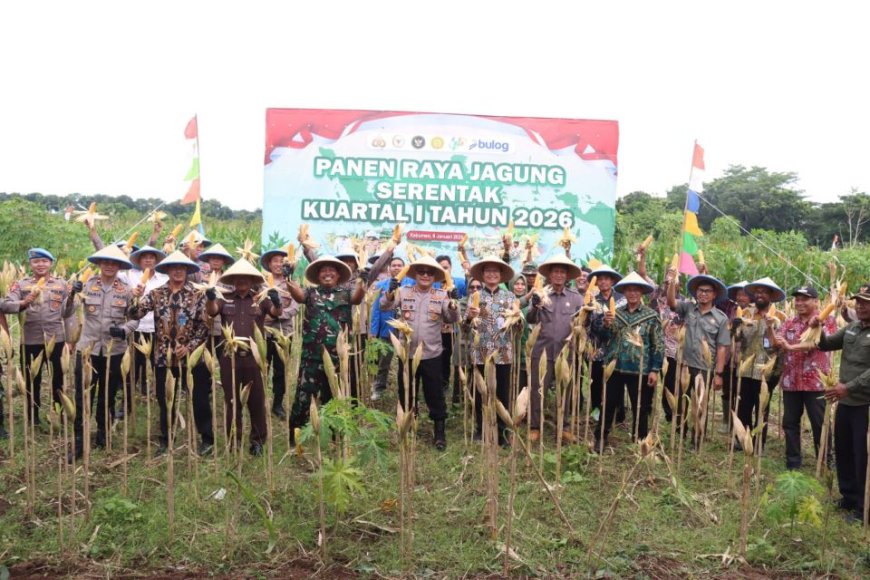 Polres Kebumen Panen Raya Jagung di Tanggulangin