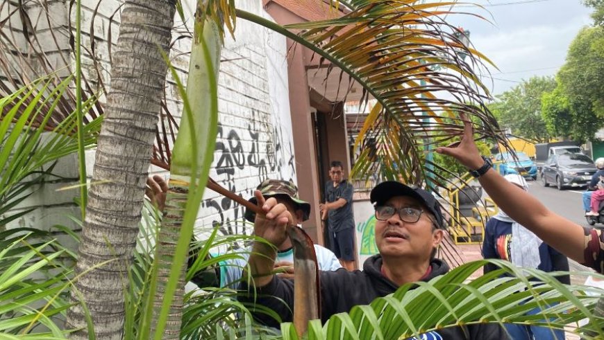 Pemerintah Kota Yogyakarta Bongkar Bangunan Liar Diubah Jadi Taman