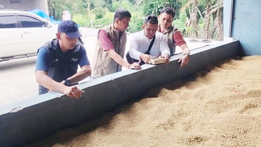 Bulog Targetkan Serapan Gabah Petani Magelang 56738 Ton