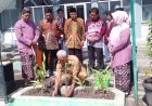 Puncak Acara 50 Tahun SMAN 2 Bantul Ditandai Tanam Pohon Tin dan Zaitun