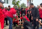 Tanam Pohon di Embung Giwangan, Hasto Kristiyanto Ajak Rawat Ibu Pertiwi