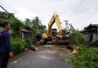 Pohon Tumbang Timpa Tiga Rumah dan Menutup Jalan