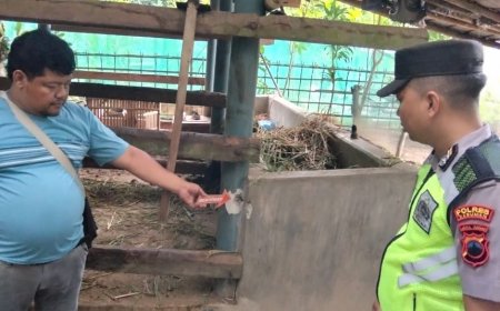 Di Kebumen Petir Sambar Kandang, Seekor Sapi Mati