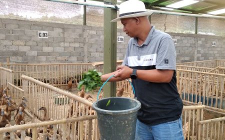 Kisah Sukses Abdullah Pemilik Wardhana Farm, Awalnya Cegah Banjir Kini Meraup Puluhan Juta