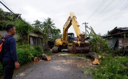 Pohon Tumbang Timpa Tiga Rumah dan Menutup Jalan
