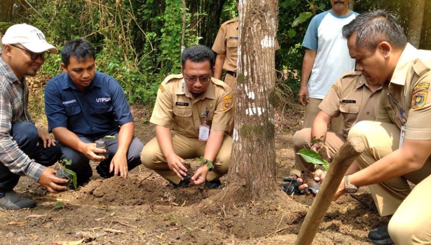 HPN 2026 Diisi Kegiatan Tanam Cabai Jawa di Heroes Park Purworejo