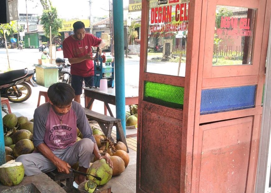 Ramadan Bawa Berkah bagi Penjual Kelapa Muda