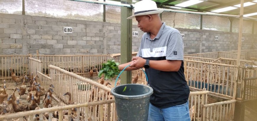 Kisah Sukses Abdullah Pemilik Wardhana Farm, Awalnya Cegah Banjir Kini Meraup Puluhan Juta