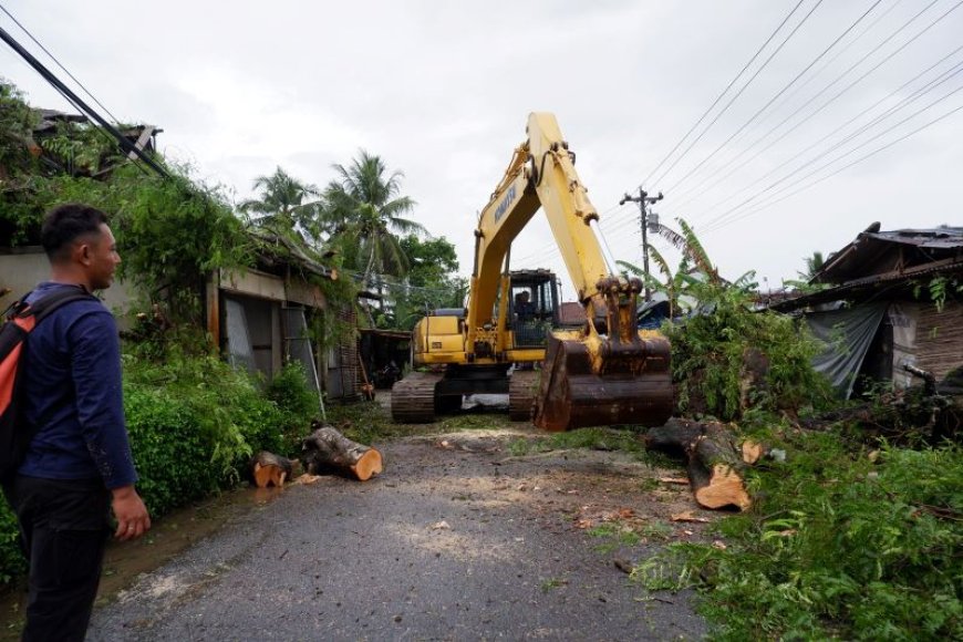 Pohon Tumbang Timpa Tiga Rumah dan Menutup Jalan