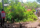 Mayat Pria Ditemukan Membusuk di Kebun