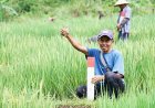 Mudik Tenang, Aset Aman! Ini Alasan Penting Jaga Batas Tanah Saat Pulang Kampung