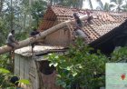 Angin Kencang Menyapu Beberapa Desa di Purworejo