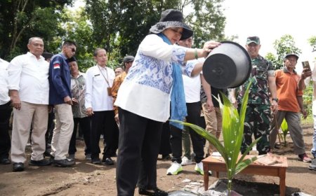 Reses di Sleman, Titiek Soeharto Tanam Kelapa Genjah