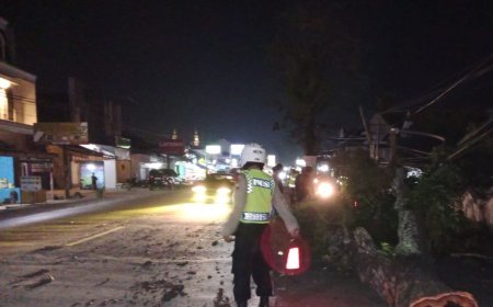 Pohon Perindang Jalan Tumbang, Pengendara Motor Terluka