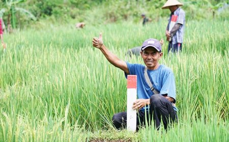 Mudik Tenang, Aset Aman! Ini Alasan Penting Jaga Batas Tanah Saat Pulang Kampung