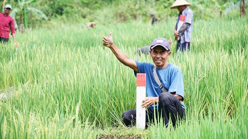Mudik Tenang, Aset Aman! Ini Alasan Penting Jaga Batas Tanah Saat Pulang Kampung