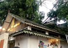 Sungai Meluap, Pohon Tumbang Merusak Bangunan