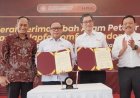 JAPFA dan UGM Kembangkan Peternakan Ayam Petelur Umbaran