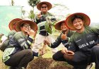 Hari Bumi 2026: Tanam 100 Pohon Gayam di Borobudur, Langkah Nyata Jaga Air dan Warisan Alam