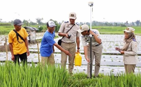 Mau Sertipikat Gratis lewat PTSL? Simak Rincian Biaya Persiapan Sesuai Wilayah